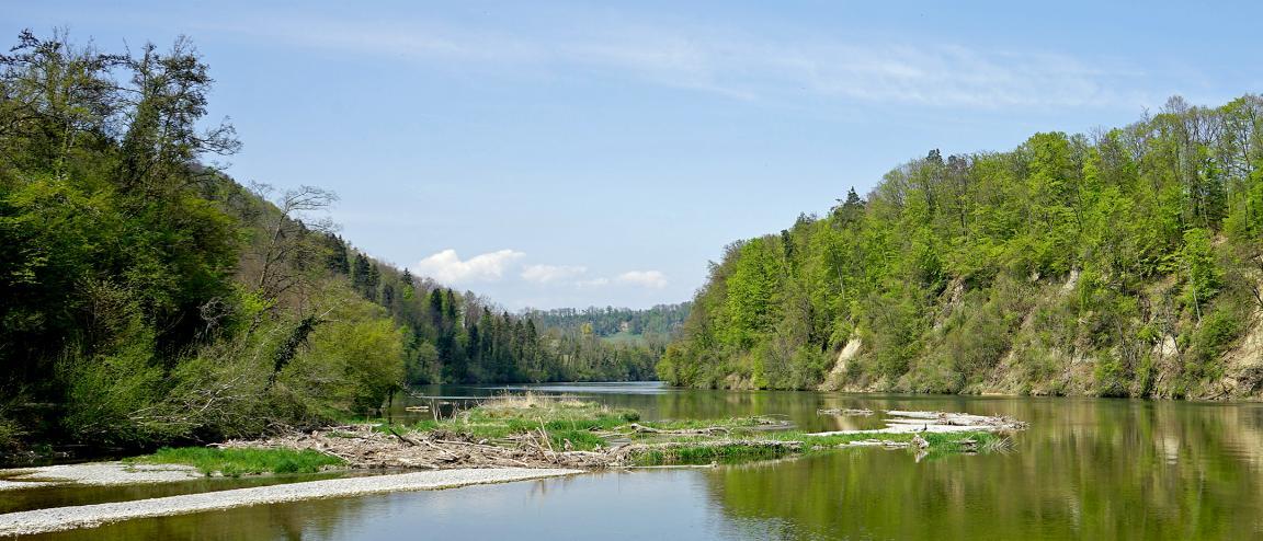  Auf der Abbildung ist ein Teil der Gewässerlandschaft Tössegg zu sehen. Im unteren Viertel des Bildes sieht man den Fluss wie er in die Ferne fliesst. Im Flussgebiet sieht man eine kleine Kiesinsel mit einigen Grasstellen und Gehölz. Links und rechts des Flusses befinden sich relativ steil abfallende Uferhänge mit Bäumen und Gebüsch. Es ist schönes Wetter mit blauem Himmel und vereinzelt sichtbaren Wolken.                         