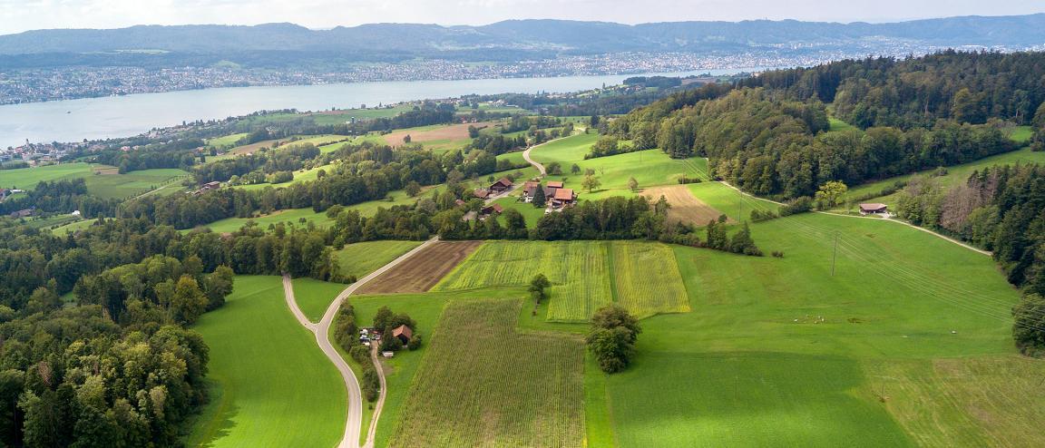 Auf der Abbildung ist die Heckenlandschaft Bezibühl zu sehen. Es handelt sich um ein perspektivisches Luftbild. Man sieht eine relativ flache Landschaft mit mehreren Feldern die durch künstlich angelegte Hecken gegliedert sind. Die Hecken verlaufen diagonal und horizontal im Bild. Zudem sind zwei Weiler und einige Wege zu sehen.