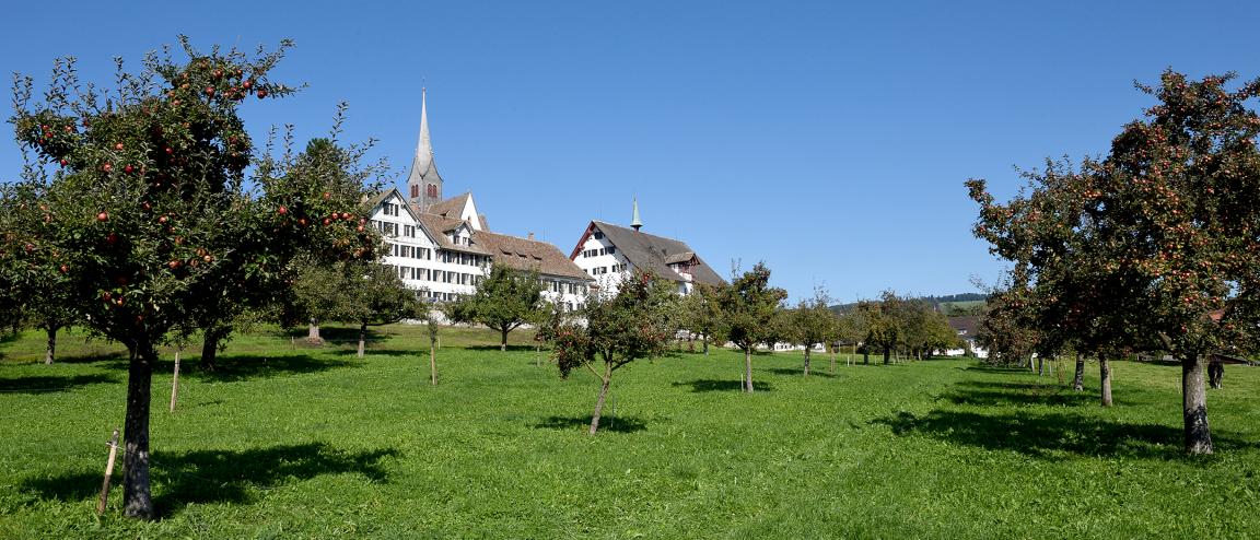 Auf der Abbildung ist ein Teil der Hochstammobstlandschaft Kappel am Albis zu sehen. Im Vordergrund stehen zahlreiche relativ symmetrisch angeordnete Hochstammobstbäume mit leuchtend roten Früchten. Sie stehen auf einer saftigen grünen Wiese. Im Hintergrund ist ein schönes historisches Gebäude mit zwei Türmen zu sehen, welches an ein Schloss oder eine Kirche erinnert. Es ist schönes Wetter mit blauem Himmel.