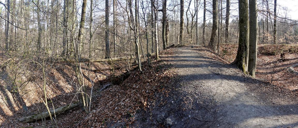 Auf der Abbildung ist ein franzosenzeitliches Wall-Graben-System auf dem Zürichberg zu sehen. Das Bild zeigt einen Waldweg auf einem künstlich angelegten Wall, an einem trockenen Wintertag. Links und rechts des Walls sind durch die blätterlosen Bäume und Äste hindurch zwei Gräben zu sehen, die zum Teil mit Laub gefüllt sind.