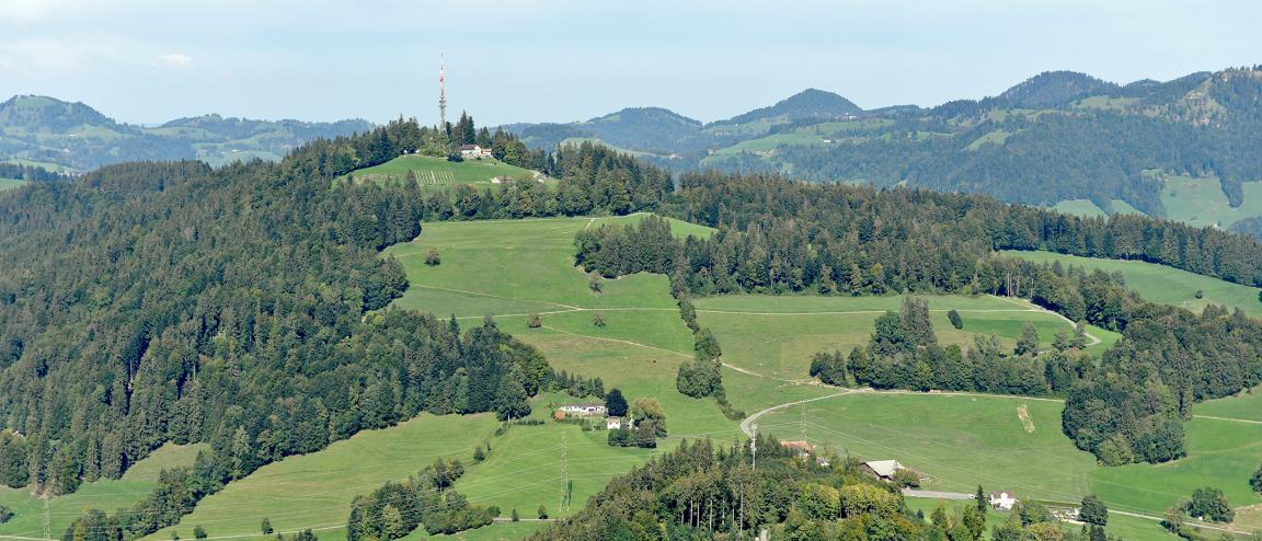 Auf der Abbildung ist die Waldlandschaft Tössbergland zu sehen. Es handelt sich um ein perspektivisches Luftbild einer hügeligen und grossflächig bewaldeten Landschaft. Der Wald öffnet sich an mehreren Stellen wobei dann grüne Wiese zu sehen ist. Auf dem Spitz des Hügels in der Mitte steht eine Antenne und es sind vereinzelt Häuser und Wege zu sehen. Im Hintergrund in der Ferne ist Siedlungsgebiet im Tal zu sehen.