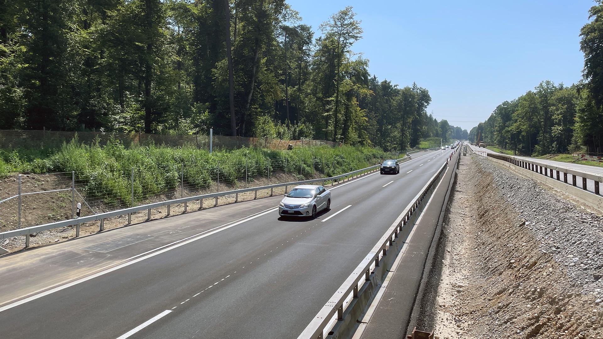 Fahrzeuge fahren auf einer mehrspurigen Strasse, die durch einen Wald führt.