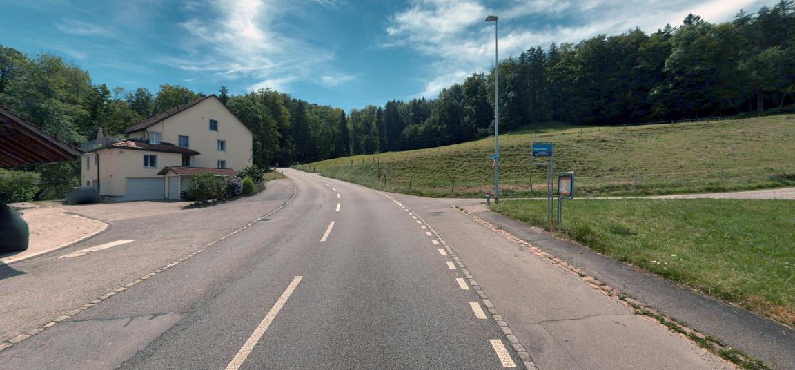 Eine asphaltierte Landstrasse führt bergauf durch eine grüne Landschaft. Links steht ein hellbeiges Haus mit braunem Dach. Rechts, hinter dem Trottoir auf einem Grünstreifen, befinden sich eine Bushaltestelle und eine Strassenlaterne. Die Strasse schlängelt sich durch einen Wald mit üppigem Laubwerk unter einem blauen Himmel mit einigen weissen Wolken.
