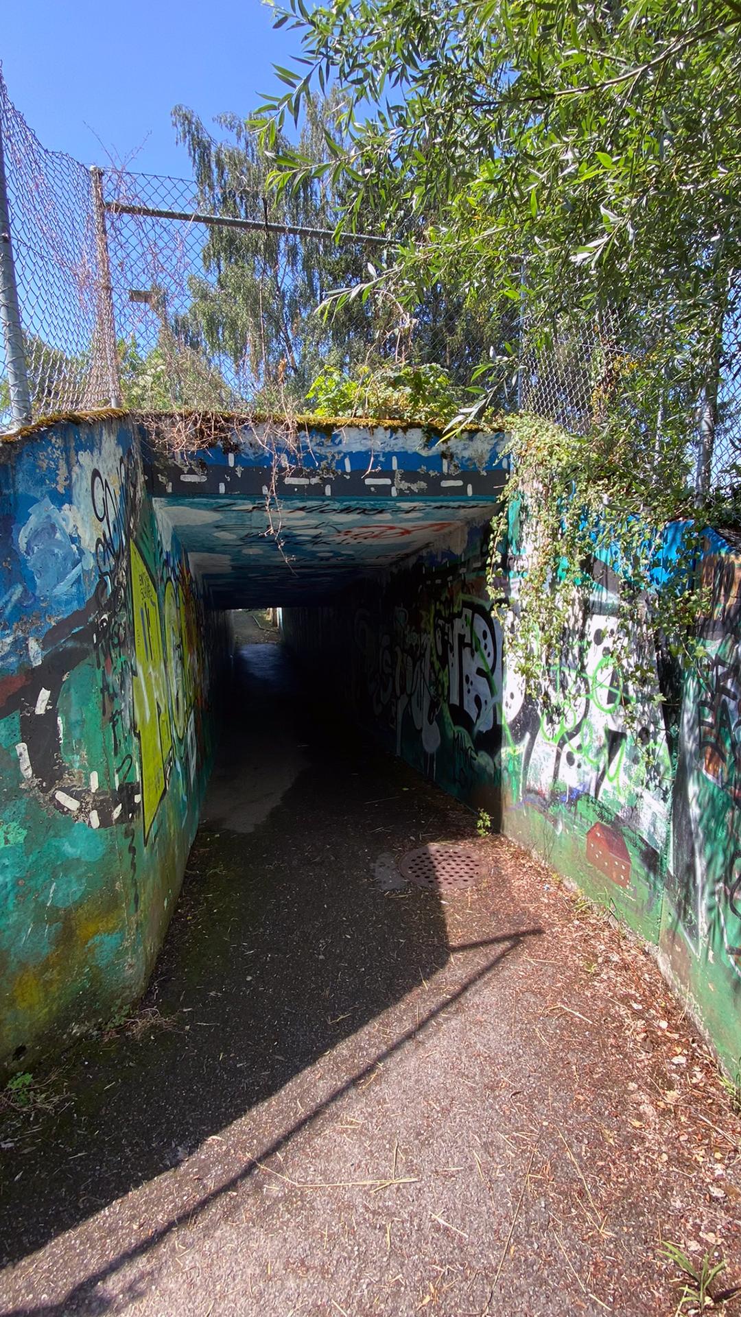 Versprayter Betontunnel für Fussgänger mit einem Maschendrahtzaun oben.