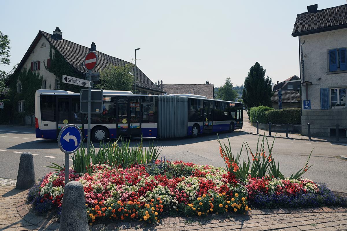 Ein blau-weisser Gelenkbus fährt an einer Kreuzung vorbei an einem bunten Blumenbeet.