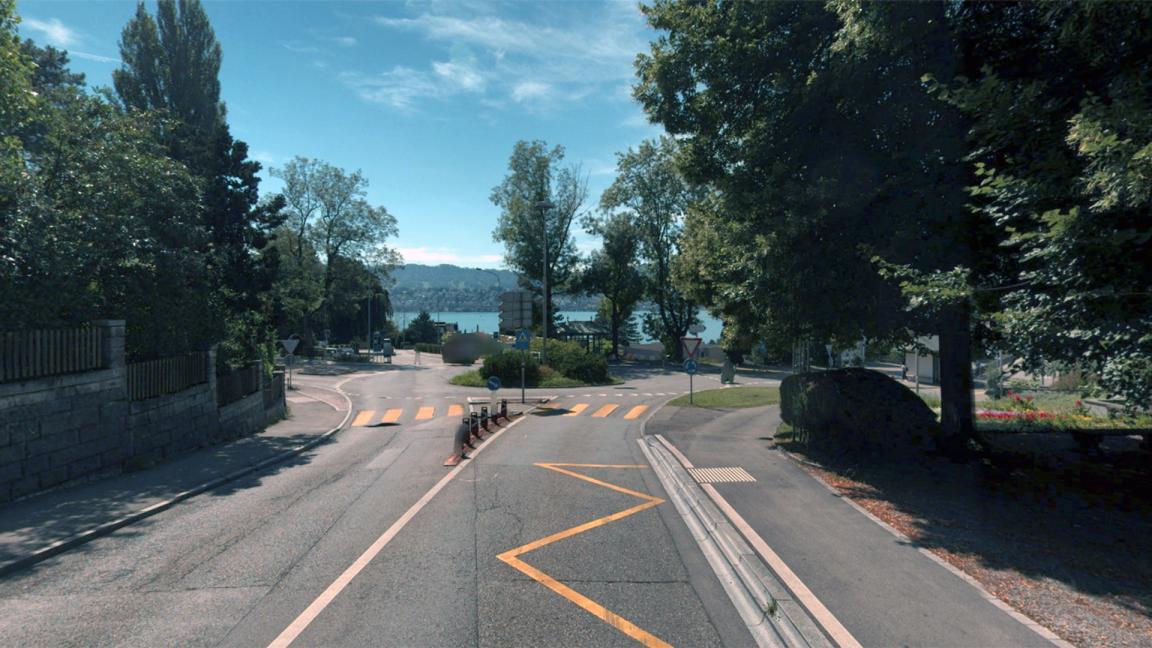 Farbaufnahme des Dufourkreisels mit dichter Begrünung und dem Zürichsee im Hintergrund.