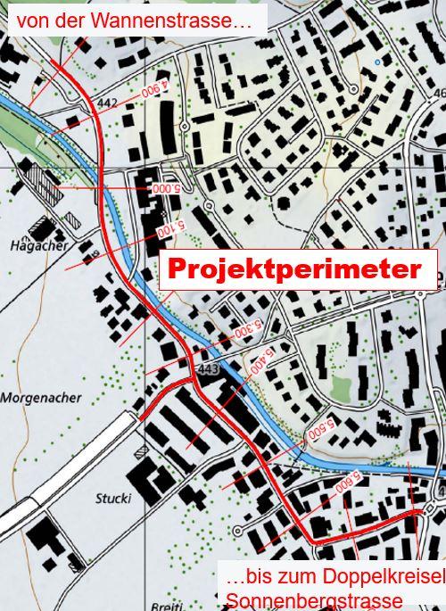 Die Seestrasse in Niederuster soll saniert und sicherer werden.