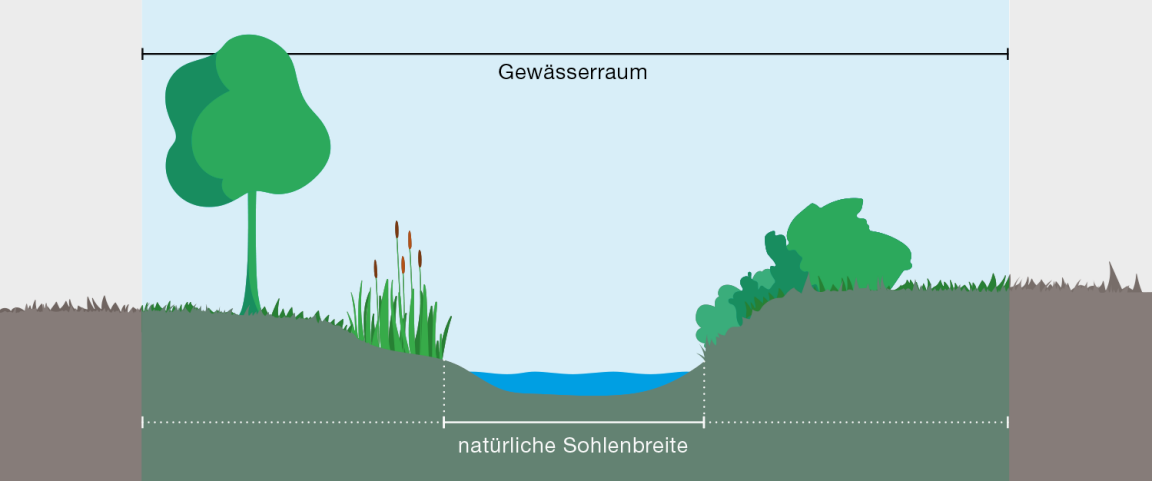 Querschnitt eines Gewässerraums (Informationen zu natürlicher Sohlenbreite in Text).