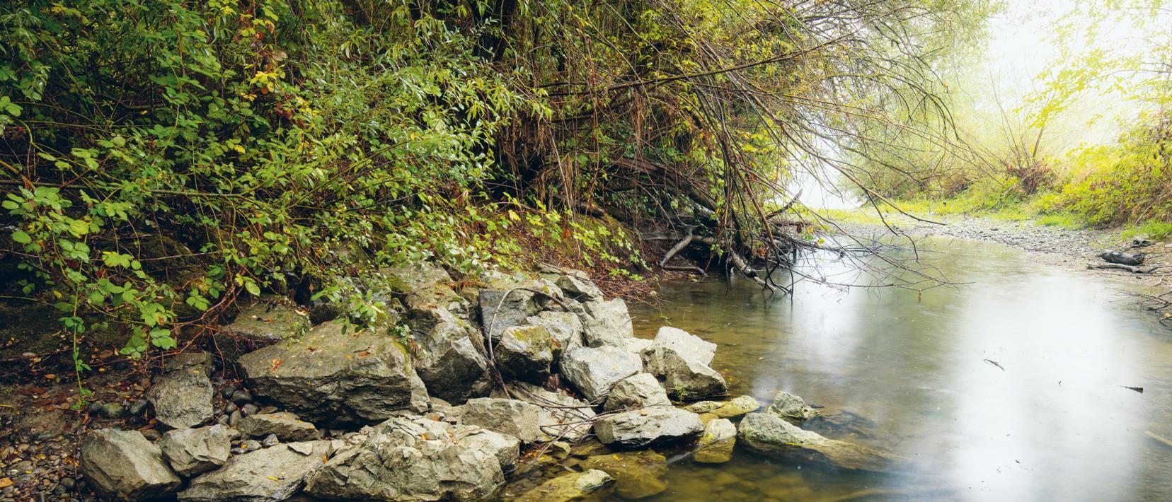 Eine Auenlandschaft.