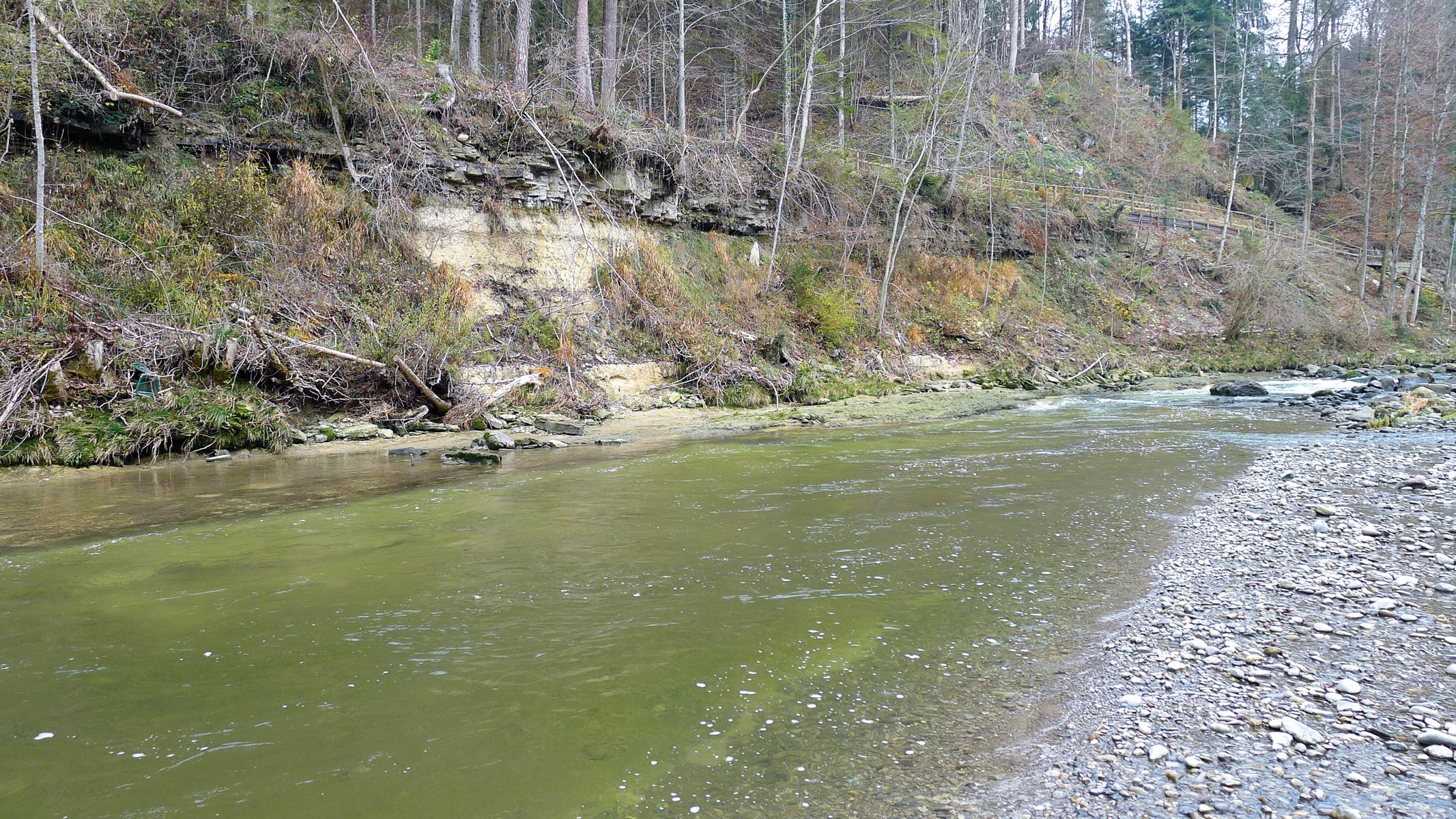 Im Vordergrund ein Fluss, dahinter ein Hang unter dem Wald. Ein Teil des Hangs ist nacktes Erdreich. 