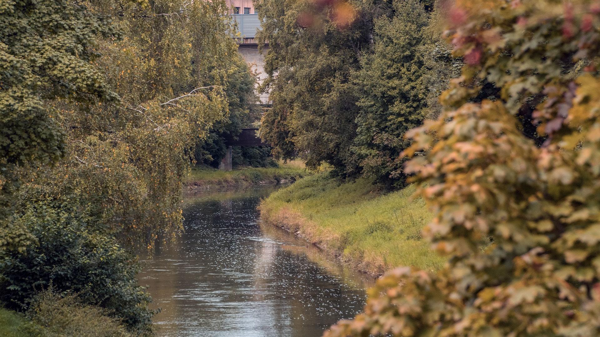 Ein Fluss windet sich an üppigen, grünen und gelb-braunen Ufern entlang, die von dichtem Baumbestand gesäumt sind, während im Hintergrund eine Brücke sichtbar ist.