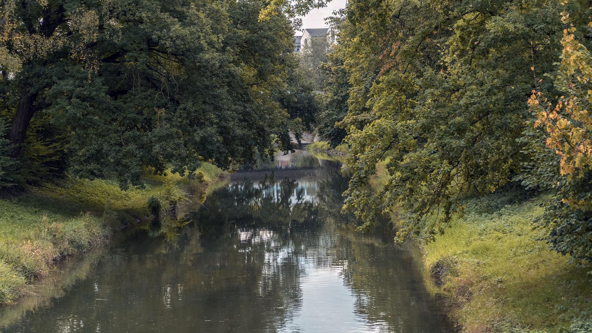 Ein Fluss fliesst ruhig durch eine tiefeingeschnittene Baumallee; das dichte Laubwerk der Uferbäume spiegelt sich im Wasser, während im Mittelgrund eine helle Gebäudefassade sichtbar ist.