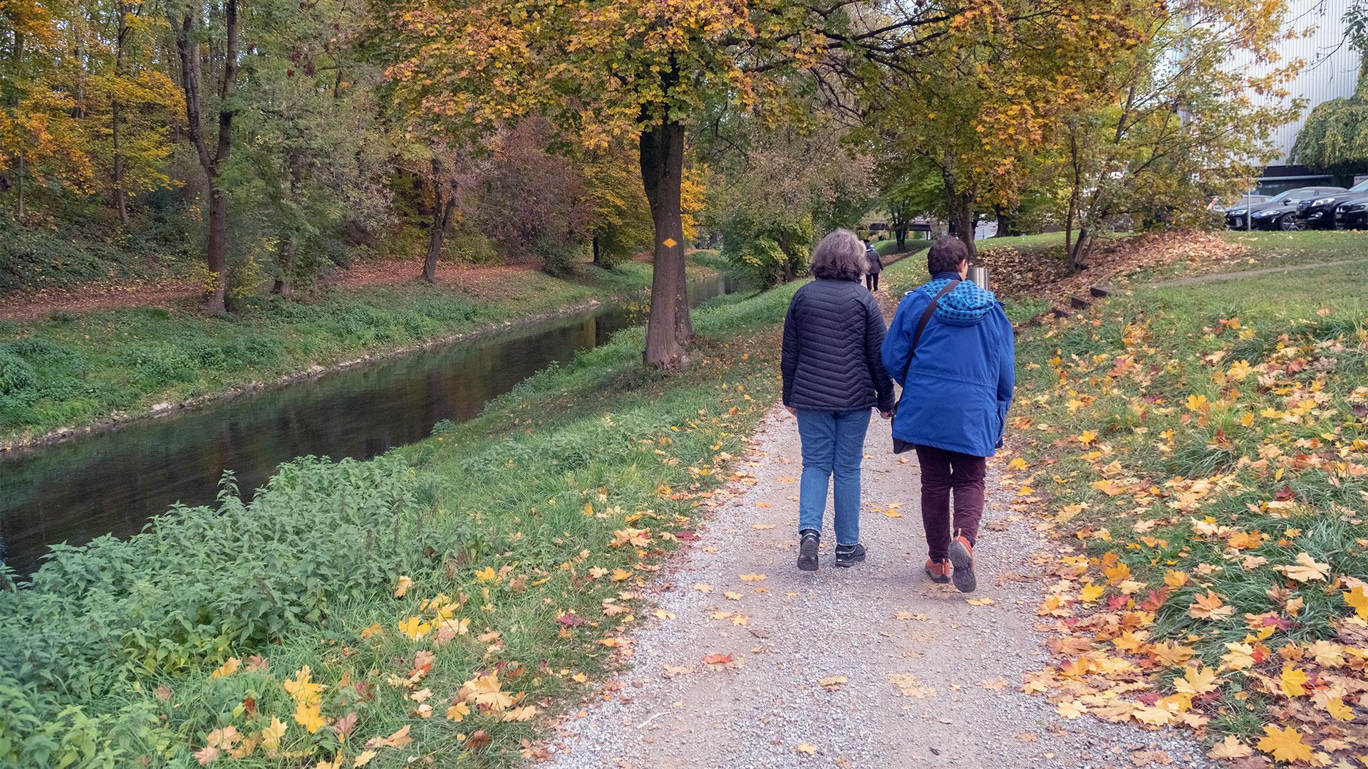 Zwei Personen spazieren im Herbst auf einem Spazierweg entlang eines renaturierten Flusses, gesäumt von Laubbäumen mit gelb verfärbtem Laub.