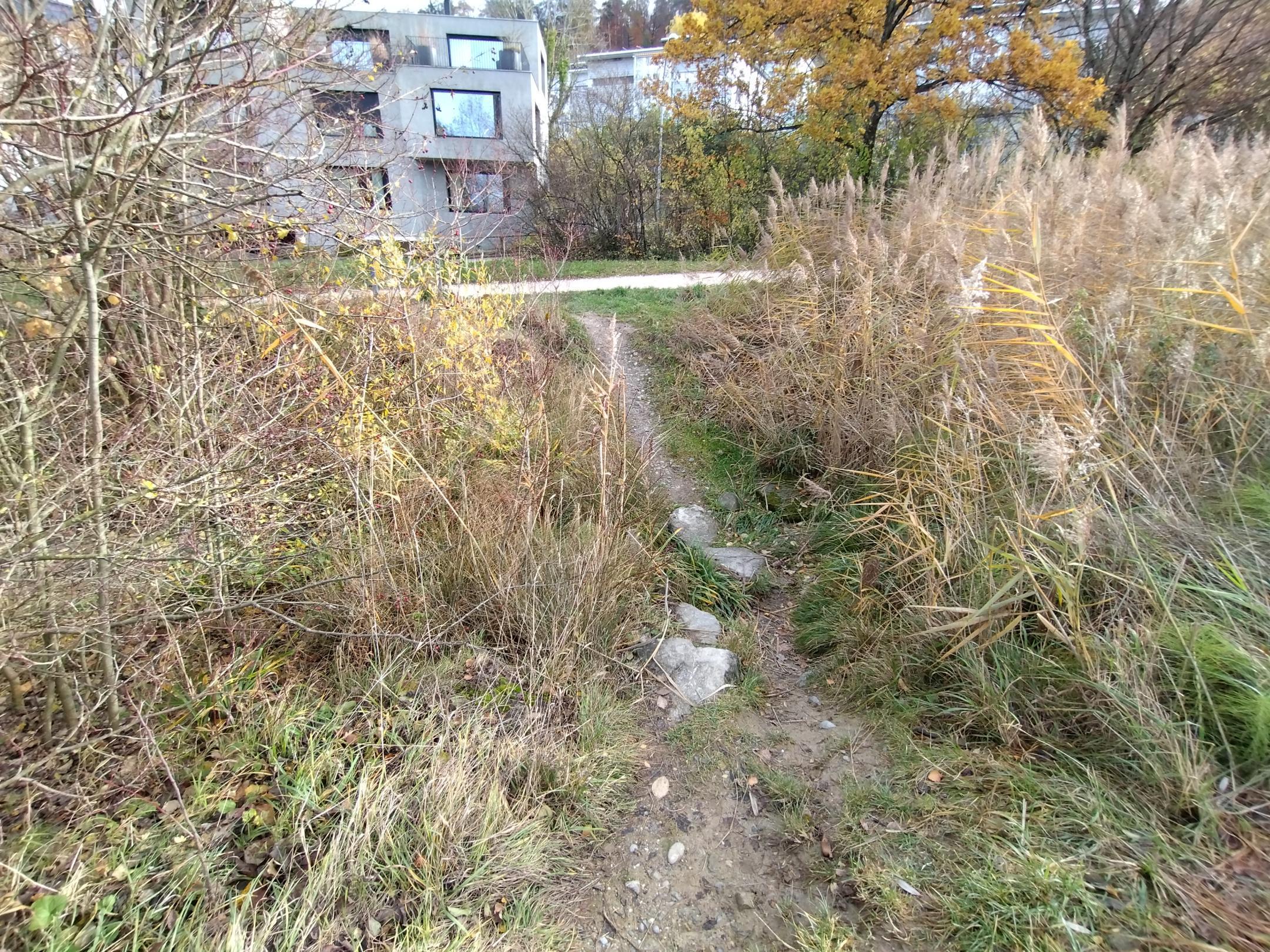 Der Spitalerbach vor der Sanierung. An dieser Stelle wurde der untere Wasserzugang durch das Projekt #hallowasser erstellt.