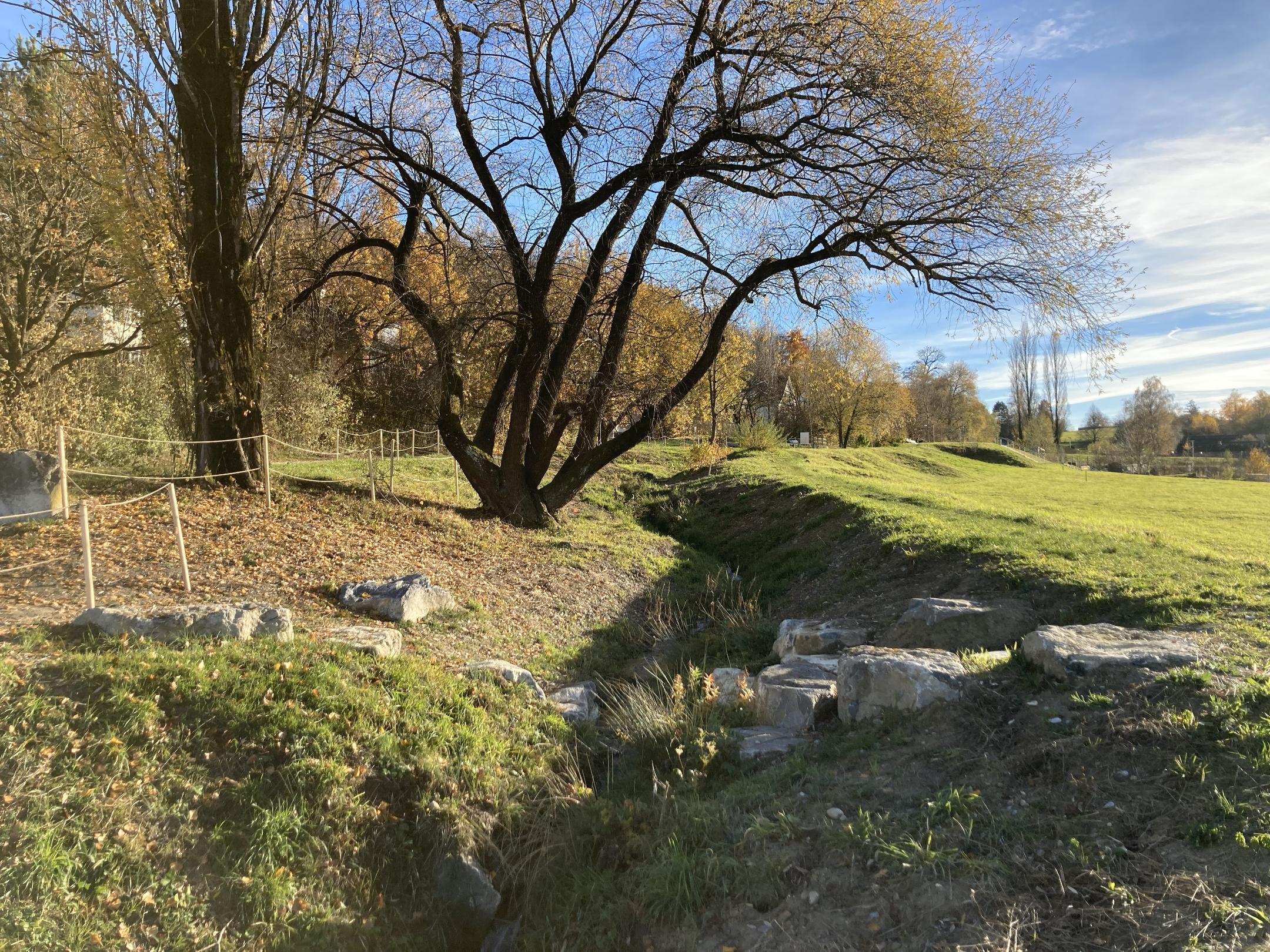 Der Spitalerbach nach Abschluss der Wasserbauarbeiten. Hier entstand der obere #hallowasser-Zugang. Die malerische alte Weide konnte glücklicherweise erhalten werden.