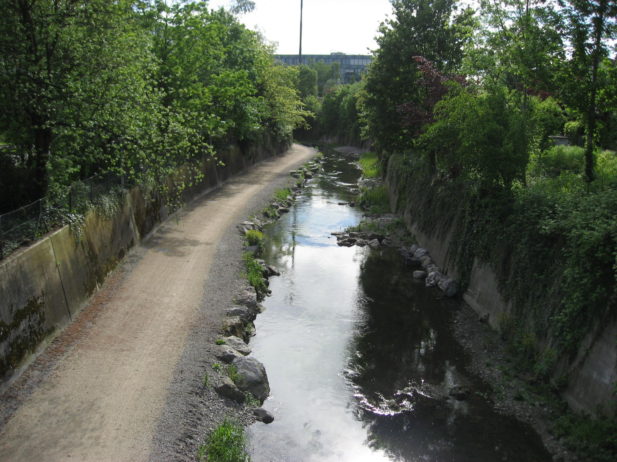 Der Chriesbach in Dübendorf nach der Aufwertung mit natürlichem Uferbereich.