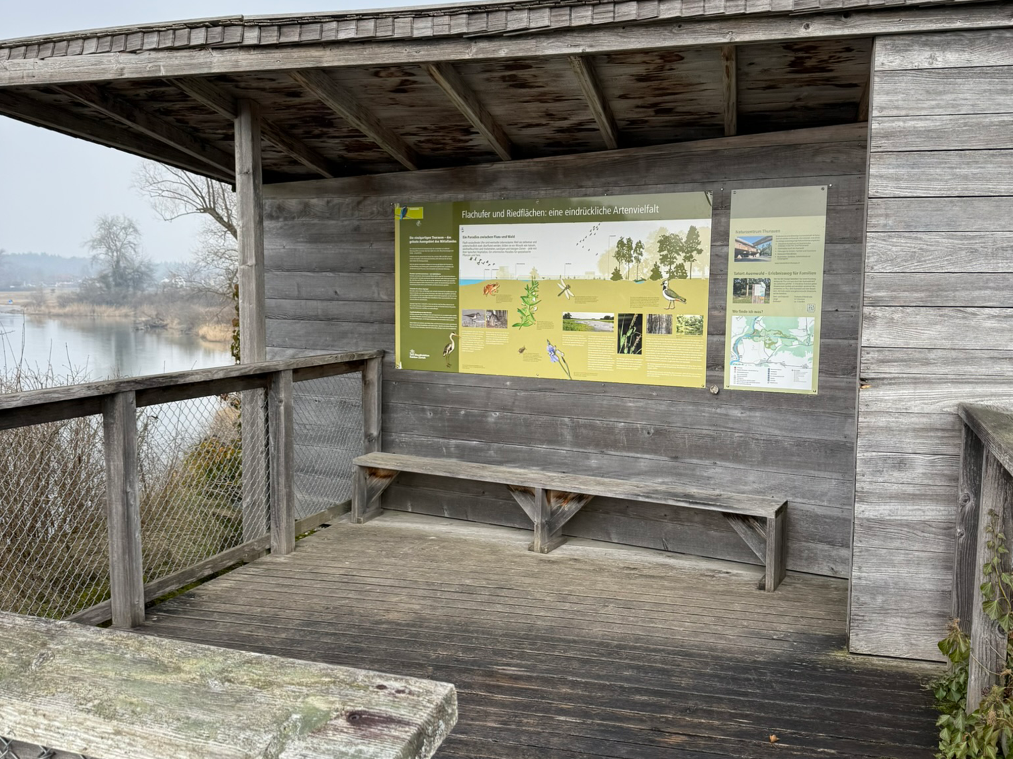 Die Beobachtungshütte mit Aussichtsplattform und Eingangsbereich. Es sind dunkle Fäulnisspuren am Dach, Vordach sowie am Bodenrost der Aussichtsplattform vorhanden.