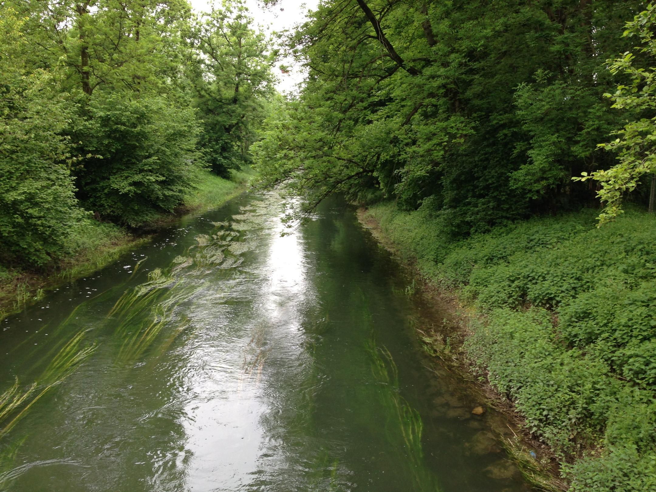 Glatt in kanalisiertem Zustand, begradigt und von Bäumen umgeben.