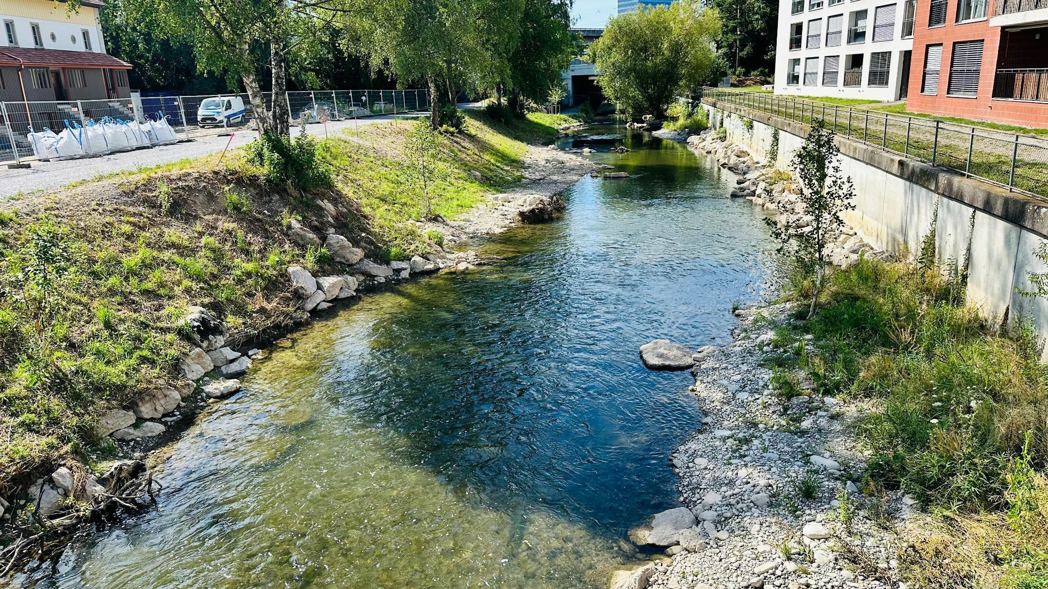 Die Glatt schlängelt sich durchs Zwicky-Areal, die Ufer sind neu begrünt, die Strömung im Fluss ist abwechslungsreich.