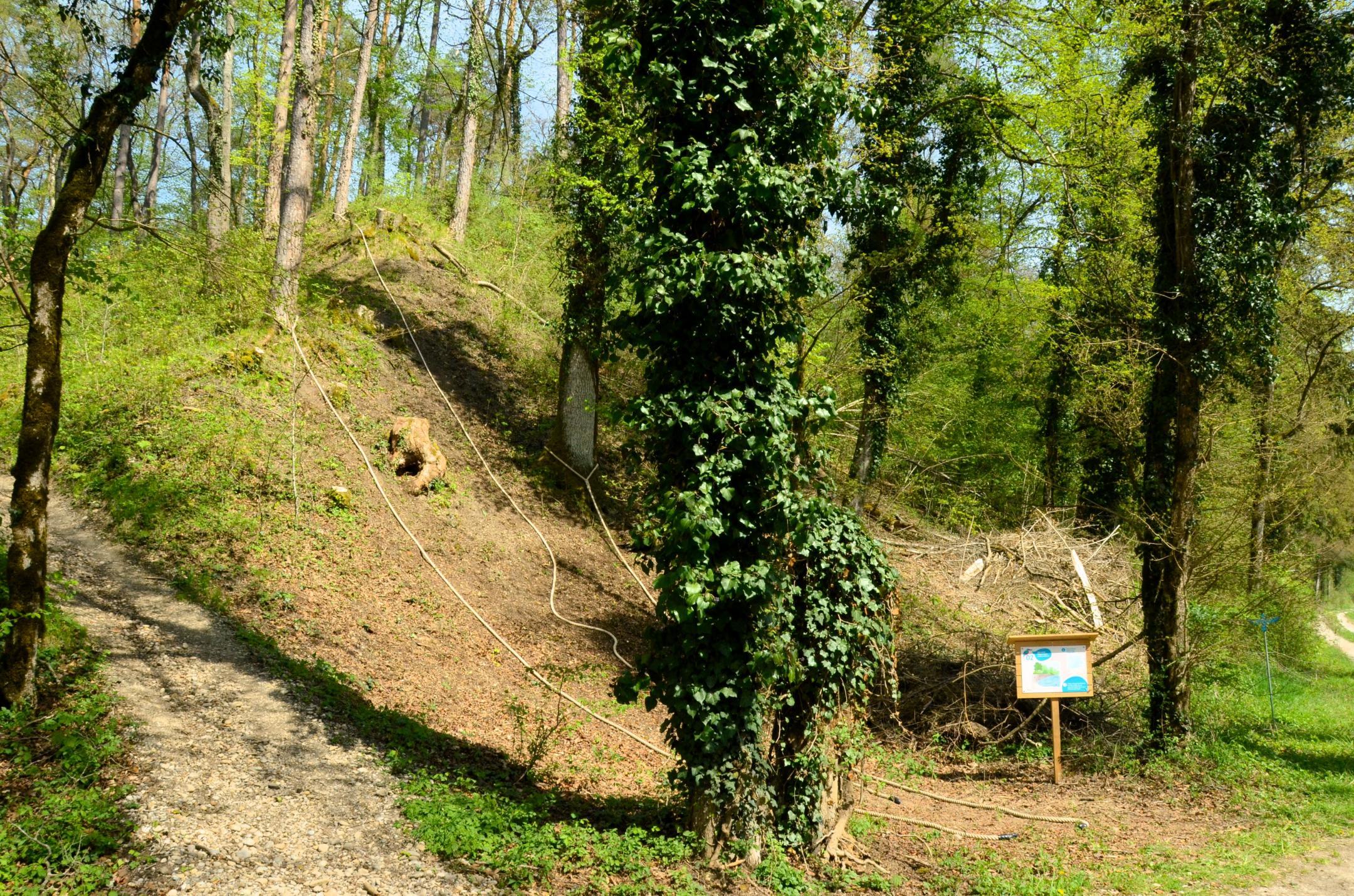 Steiler Hang mit Seilen zum Klettern als fünfter Posten des Abenteuerwegs Thurauen.