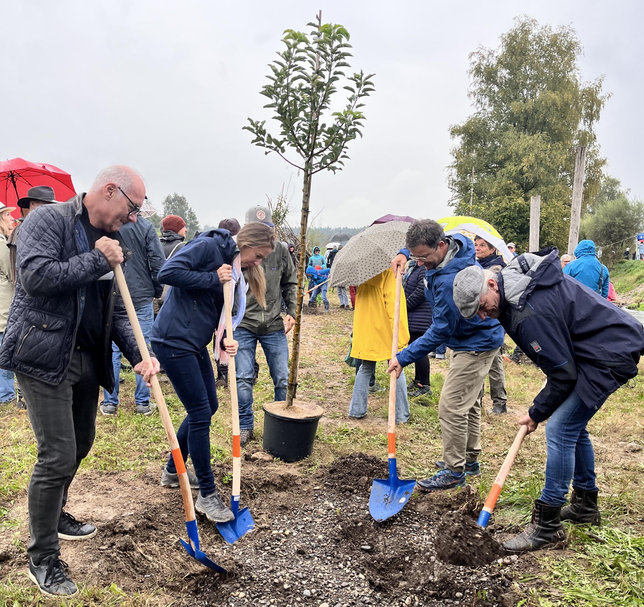 Vier Männer und eine Frau graben mit Schaufeln ein Loch in den Boden. Ein fünfter Mann im Hintergrund hält einen jungen Baum, der noch im Topf ist.