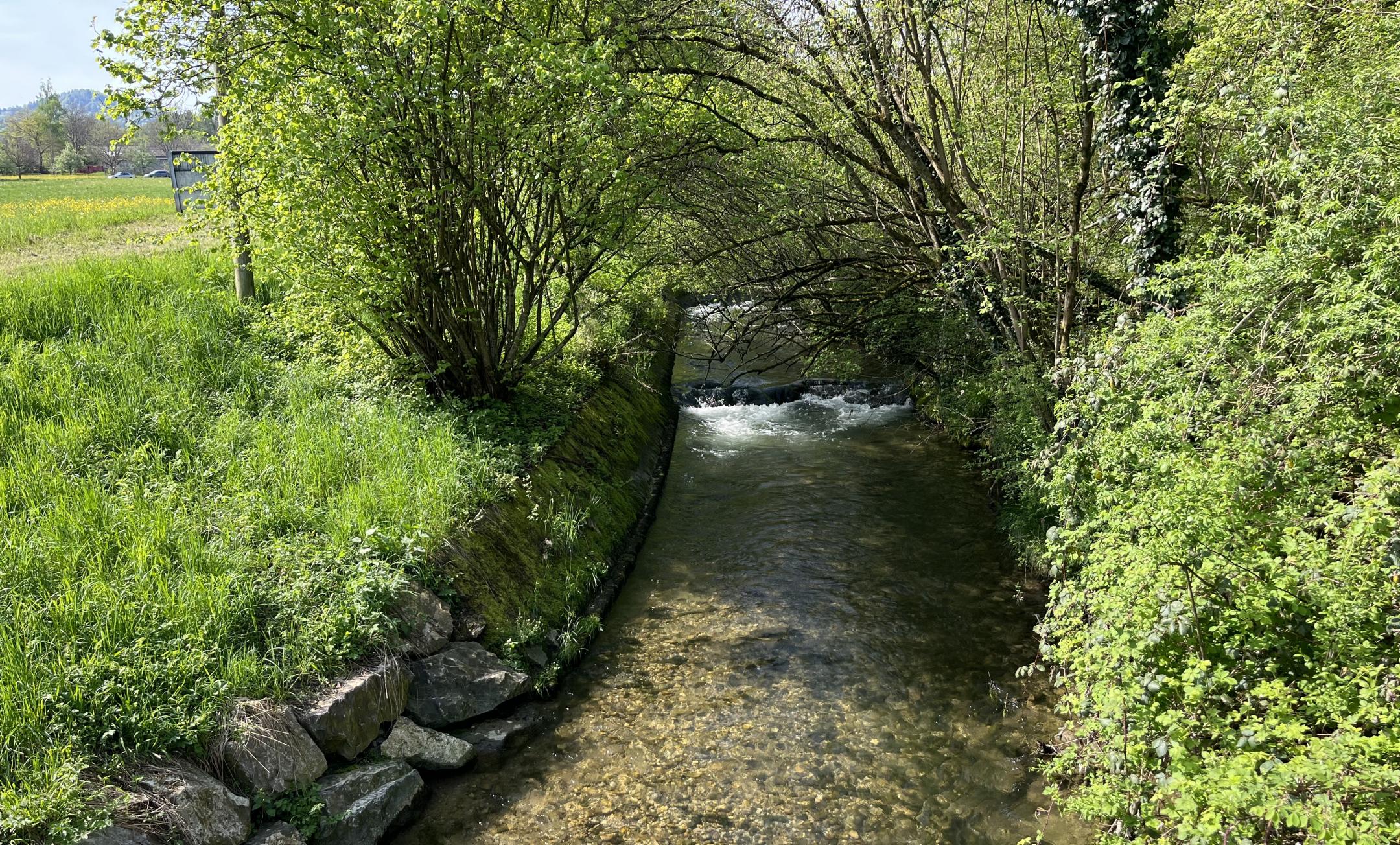 Ein kanalisierter Bach (Lützelmurg), bei dem die Ufer mit Blocksteinen verbaut sind.
