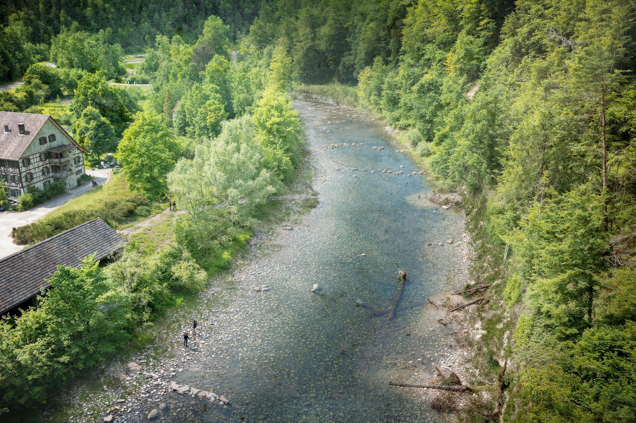 Visualisierung der revitalisierten Sihl bei Sihlwald, wie der Fischaufstieg erleichtert werden soll.
