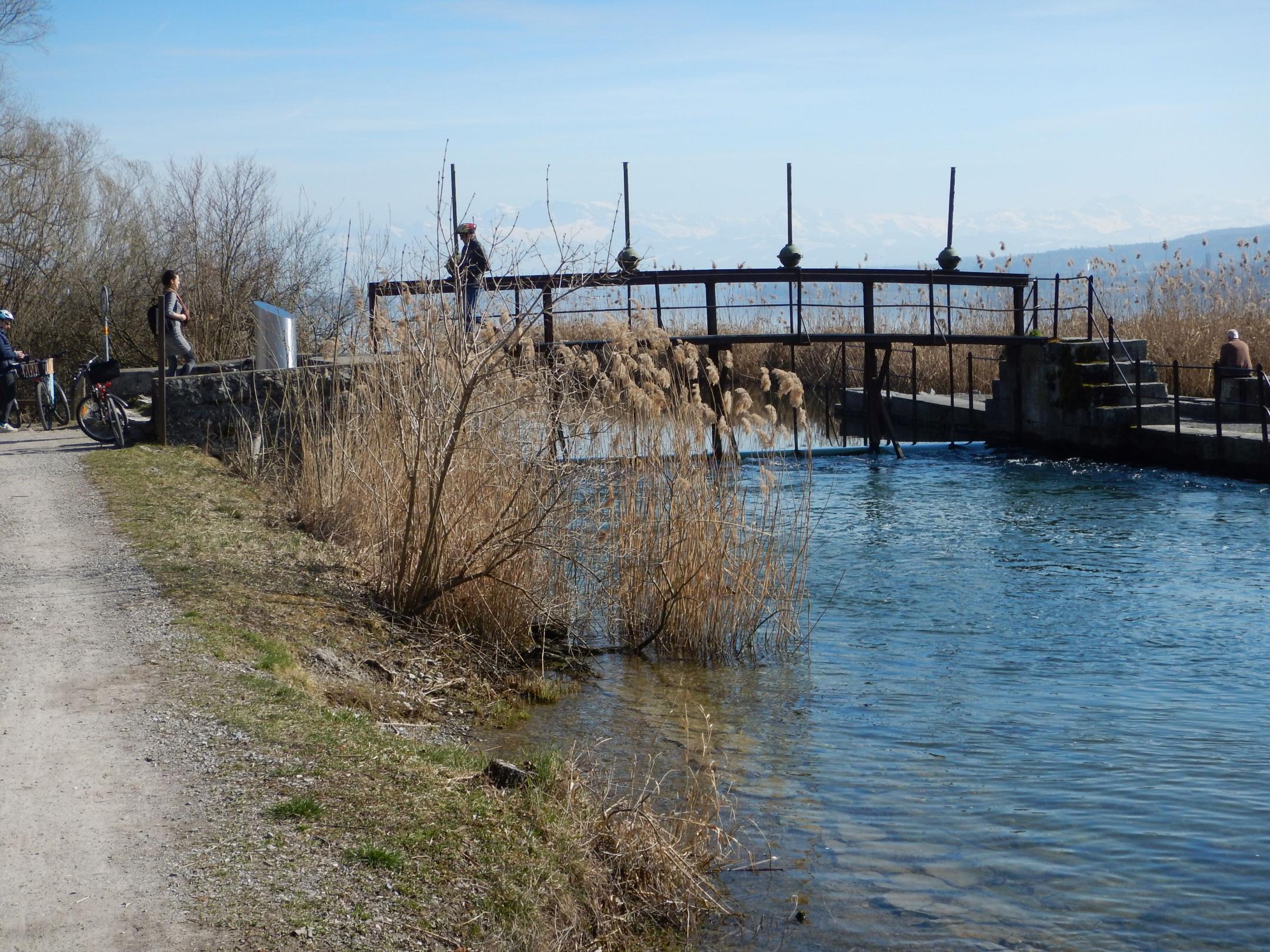 Die Glatt mit dem Glattwehr im Jahr 2019. Einige Personen stehen auf dem Wehr und beobachten die Natur.