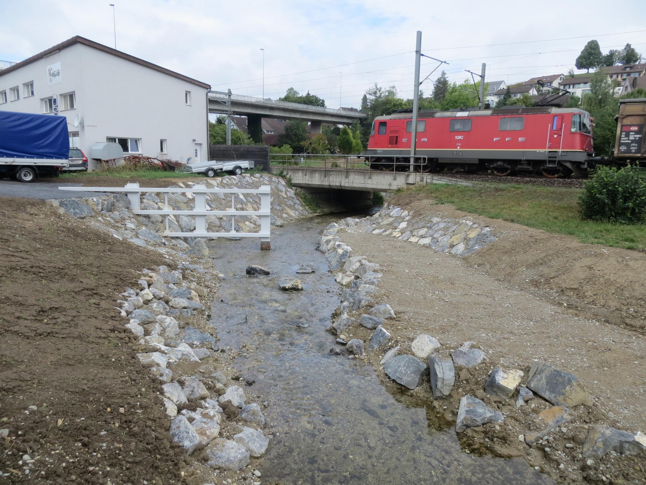 Foto des oberen Schwemmholzrückhalts in der Rechtskurve der Eulach oberhalb der Eisenbahnbrücke. Ein Güterzug fährt über die Eisenbahnbrücke. Ein weisses Wohnhaus ist sichtbar.