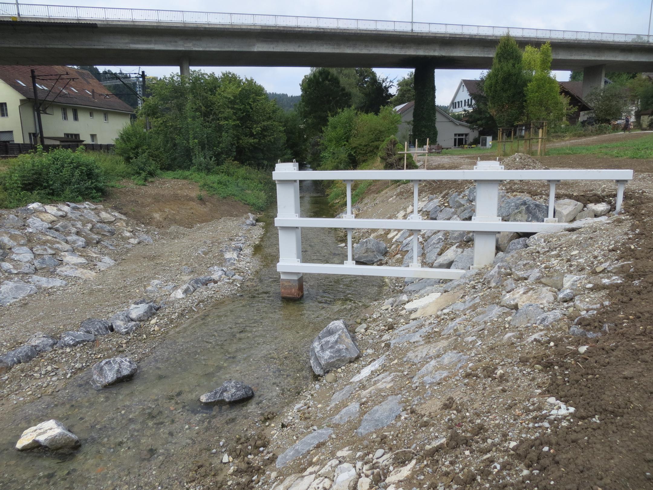 Foto des unteren Schwemmholzrückhalts in der Eulach unterhalb der Eisenbahnbrücke. Im Hintergrund einige Wohnhäuser.