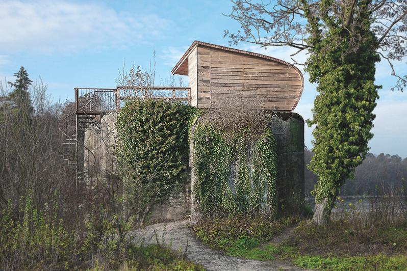 Hide auf dem Bunker bei der Schöni.