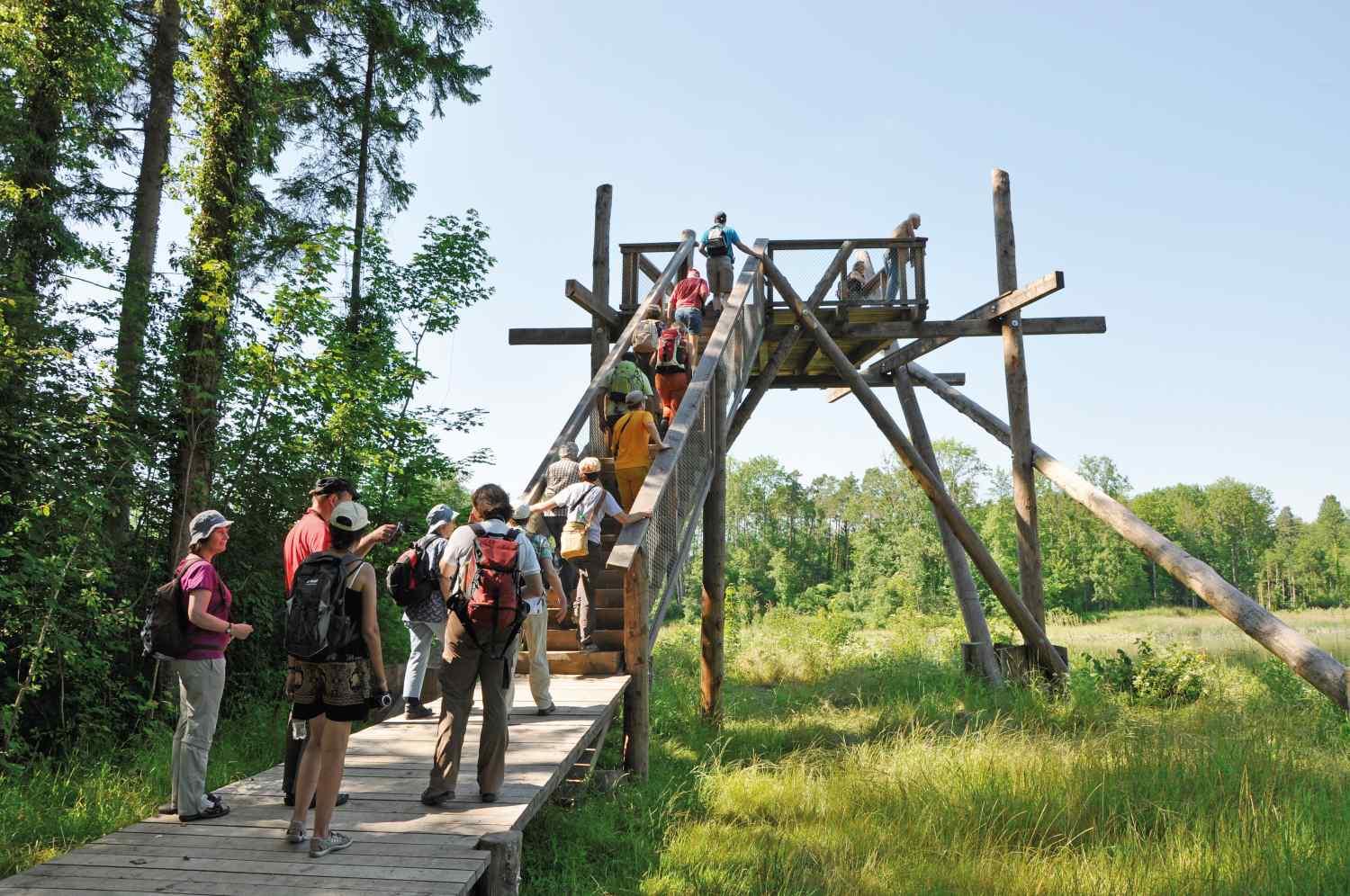 Thurauenexkursion mit einer Firma auf der Beobachtungsplattform unterhalb der Ellikerbrücke.