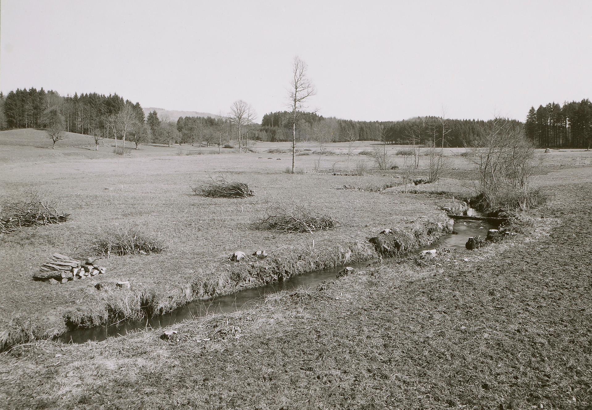 Ein altes schwarz-weiss Foto zeigt den Bachlauf der Jonen. 