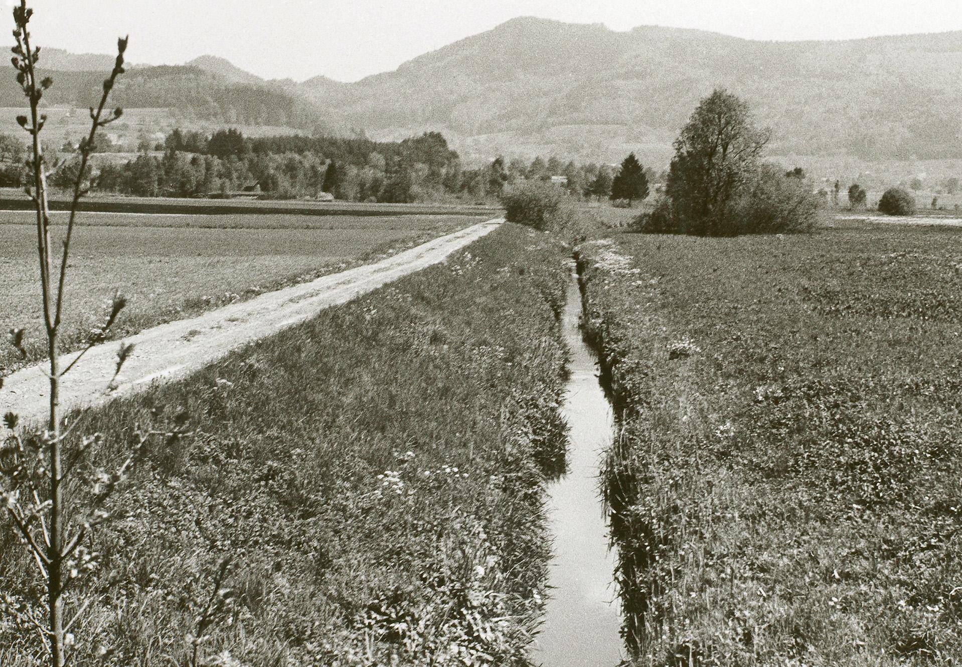 Die alte schwarz-weiss Aufnahme zeigt einen Weg neben der schnurgeraden Jonen.