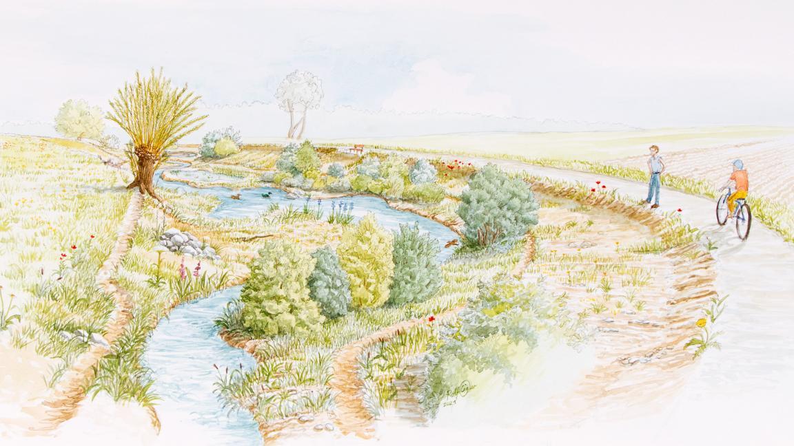 Die bunte Zeichnung zeigt eine revitalisierte Jonen mit zahlreichen Pflanzen im Uferbereich. Auf einen Uferweg sind ein Fussgänger und ein Velofahrer. 