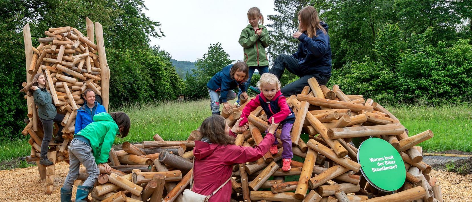 Kinder klettern über eine nachgebaute Biberburg.