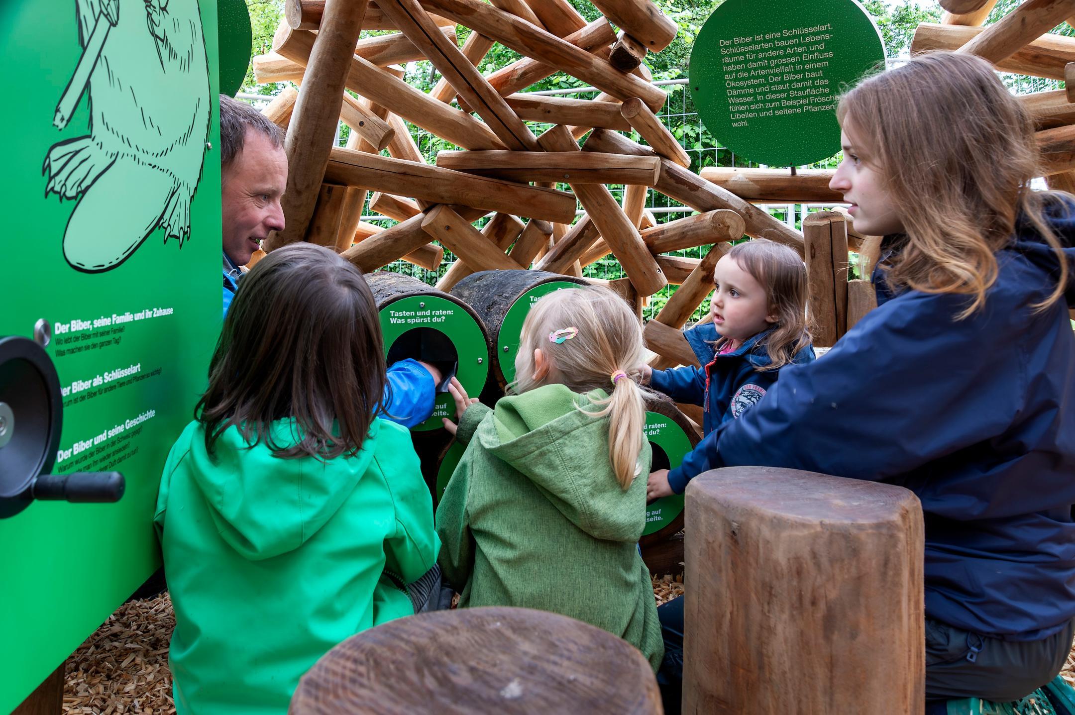 Kinder tasten sich durch den aufgebauten Biberbau des Themenwegs Lebendige Limmat.