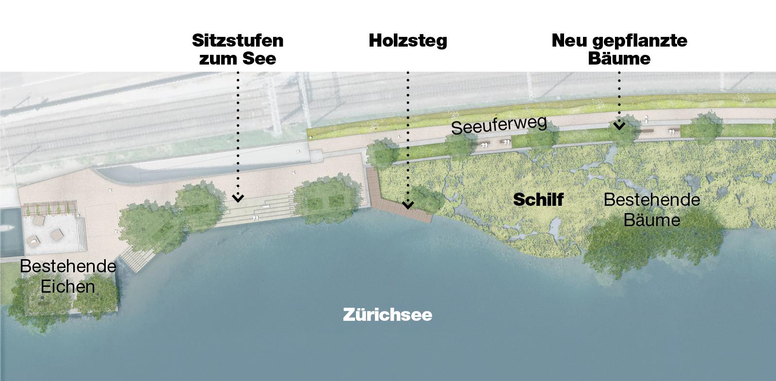 Aufsicht auf den Uferabschnitt in der Garnhänki. Links die bestehende Kanzel bei der Bootsanlegestelle, rechts die neue Aussichtskanzel bei der Badi. Dazwischen entsteht ein breiter Schilfgürtel
