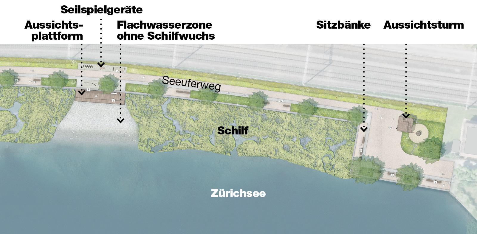 Aufsicht auf den Uferabschnitt in der Garnhänki. Links die bestehende Kanzel bei der Bootsanlegestelle, rechts die neue Aussichtskanzel bei der Badi. Dazwischen entsteht ein breiter Schilfgürtel