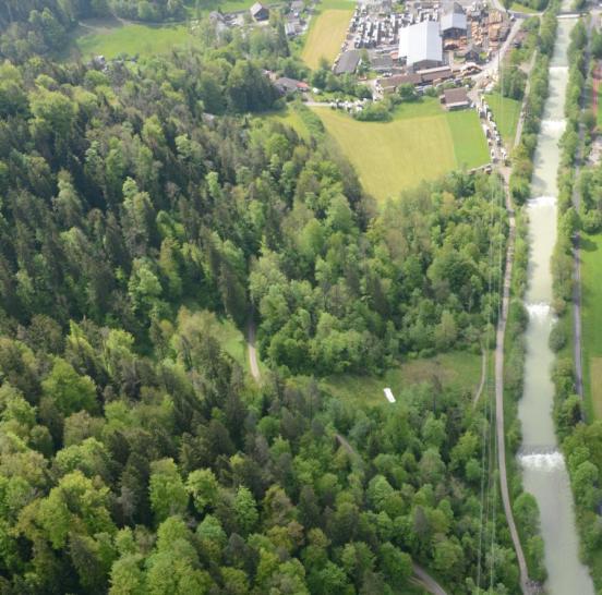 Luftaufnahme des Auenwalds Wuerbel