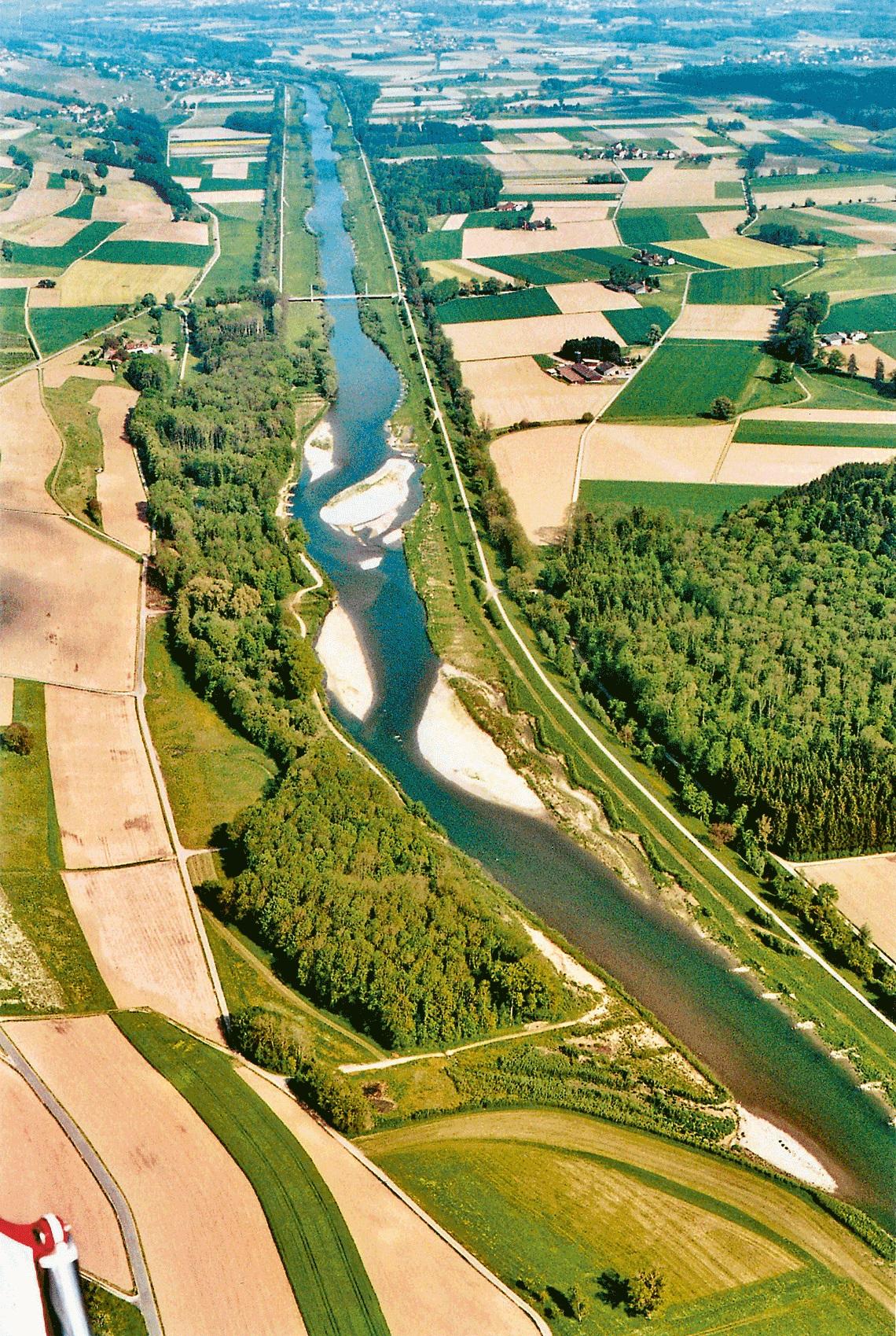 Luftbild eines naturnahen Flussabschnittes mit Kiesbänken nach Revitalisierung