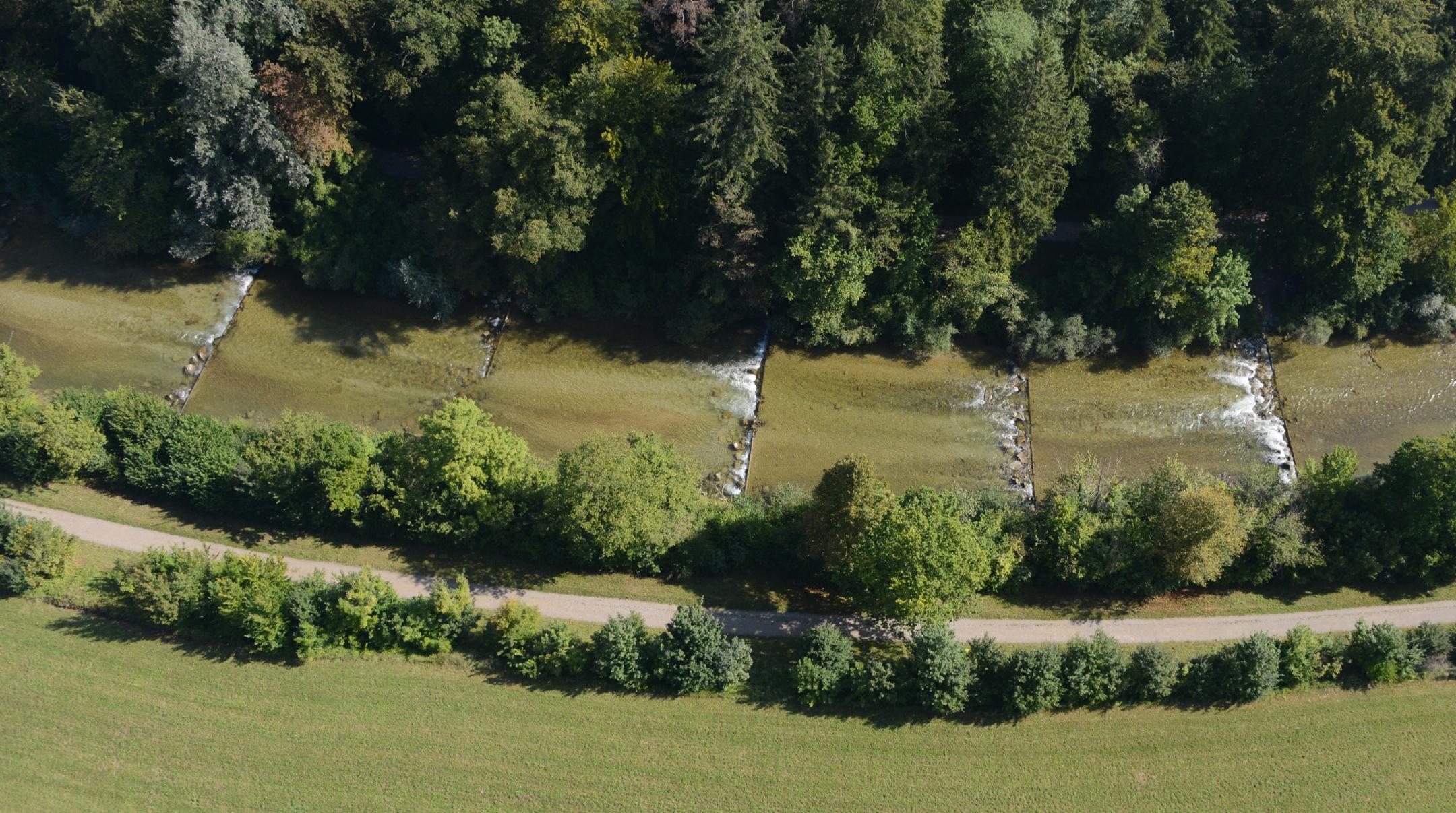 Ein Abschnitt der Töss mit Schwellen in kurzen Abständen.