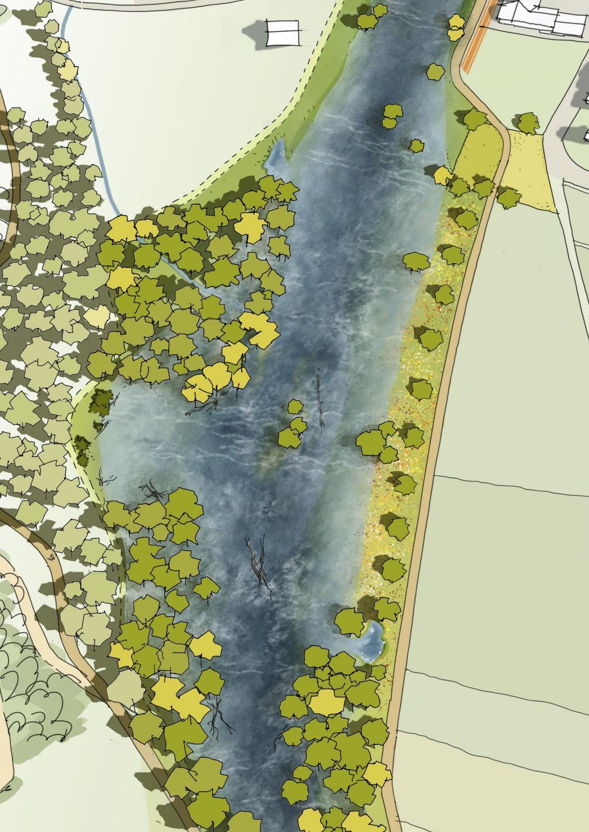 Die Illustration zeigt die Töss bei Hochwasser, wo das Wasser dank der breiteren Uferzonen dereinst besser abfliessen kann..