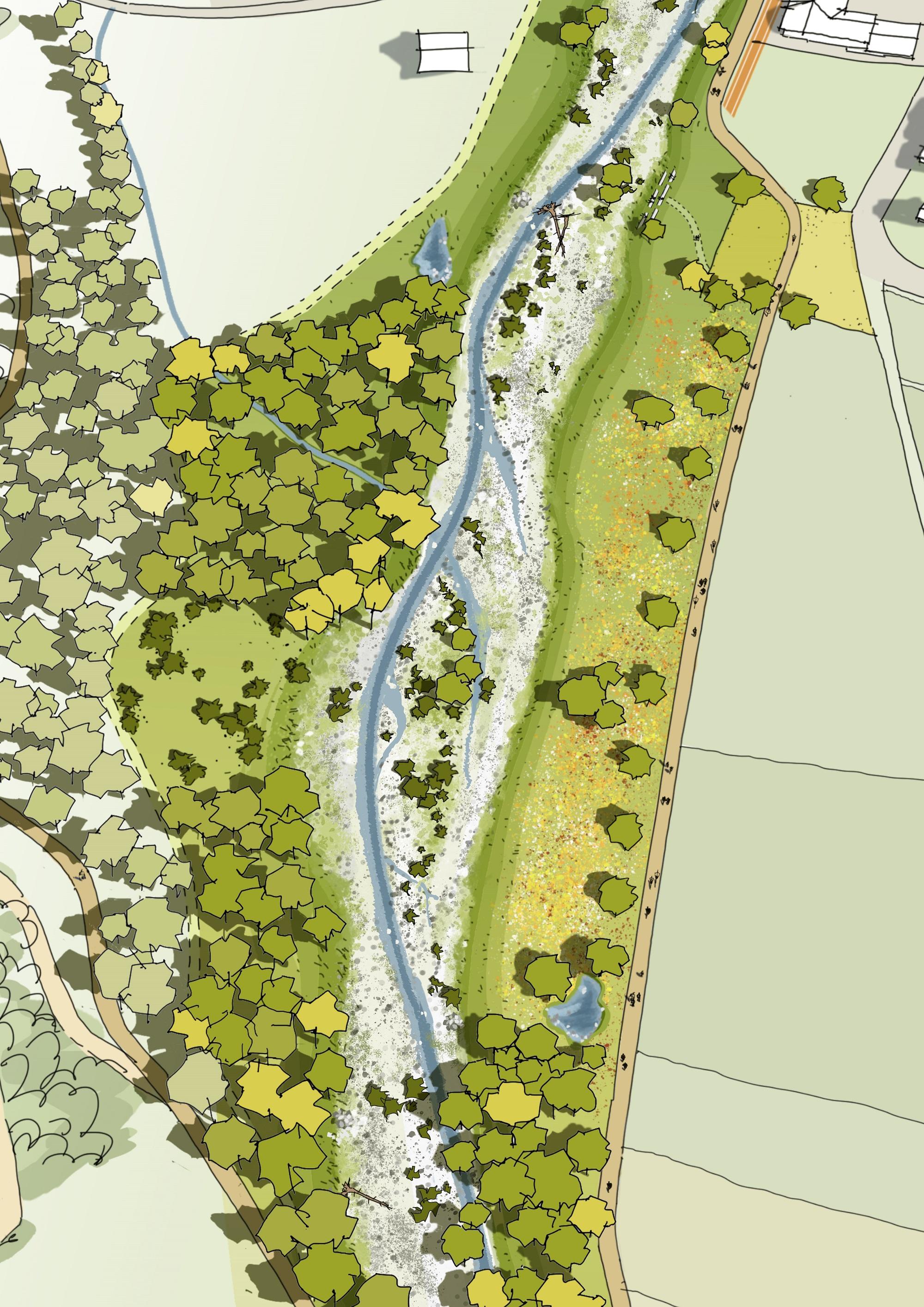 Die Illustration zeigt ein schmales Rinnsaal, das sich bei Niedrigwasser durch das verbreiterte  Flussbett der Töss schlängelt. 