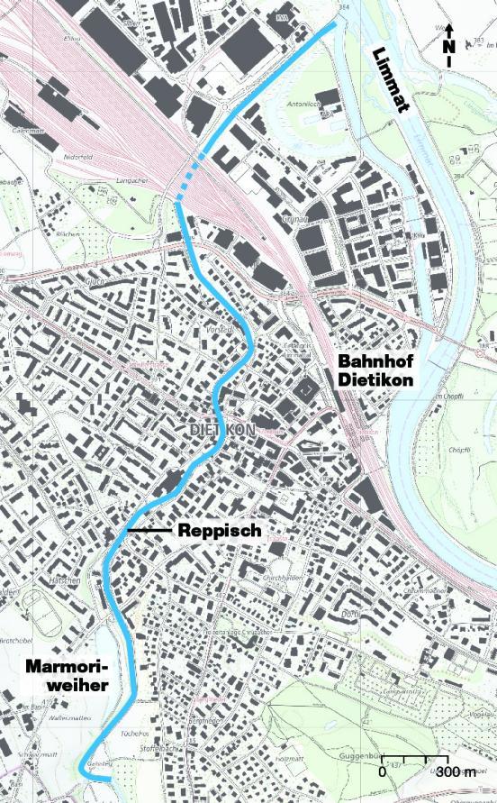 Das Bild zeigt eine Karte des Stadtgebietes von Dietikon mit dem Flusslauf der Reppisch. In der Karte ist der Projektperimeter zwischen Grunschen und Limmatmündung eingezeichnet. 