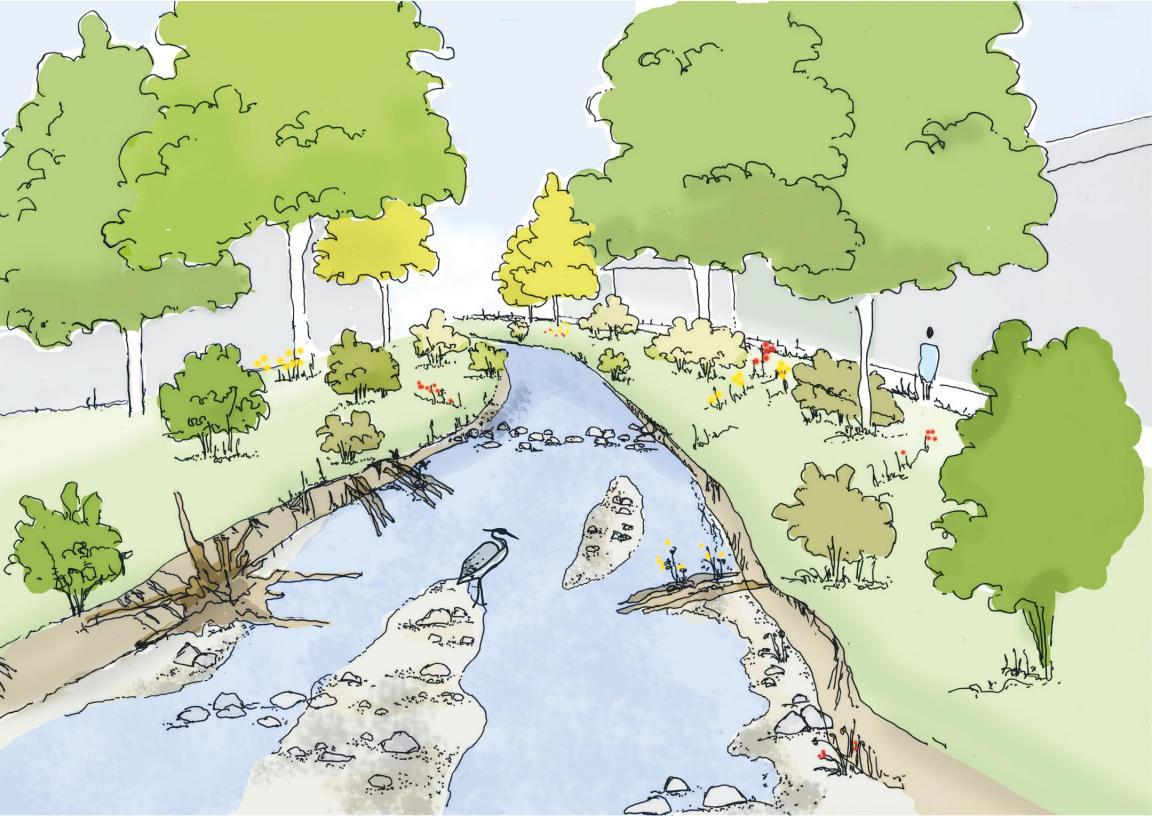 Das gezeichnete Bild zeigt die ökologisch aufgewertete Reppisch mit Blumen, Büschen und Bäumen. Vorne im Wasser ist ein Graureiher sichtbar. Rechts ist eine Person am Spazierengehen zu erkennen.  