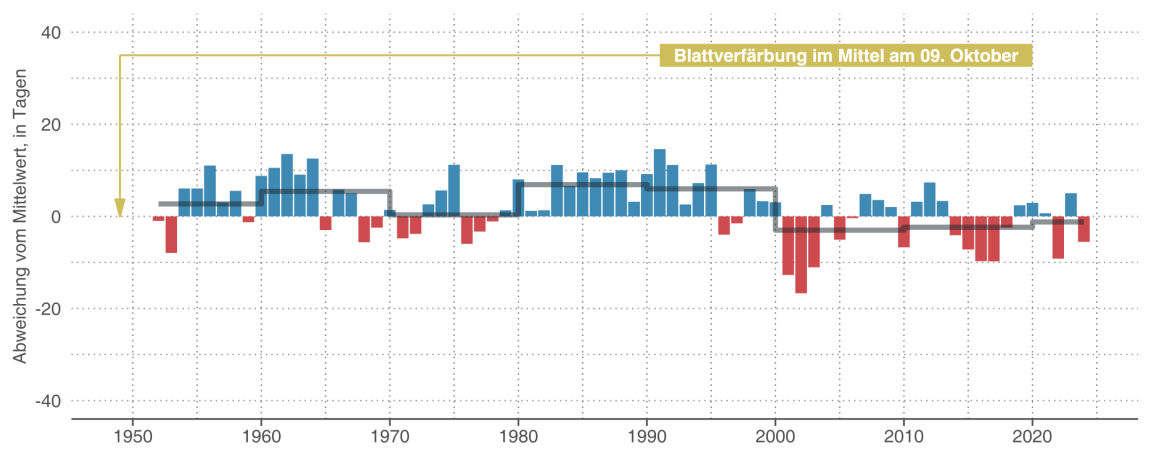 Kombiniertes Säulen- und Liniendiagramm zum jährlichen Zeitpunkt der Blattverfärbung, das verdeutlicht, dass sich Jahre, in denen das Kastanienlaub im Kanton Zürich früh bunt wurde, in jüngster Zeit allenfalls ein wenig gehäuft haben.