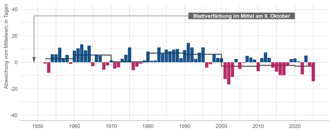 Kombiniertes Säulen- und Liniendiagramm zum jährlichen Zeitpunkt der Blattverfärbung, das verdeutlicht, dass sich Jahre, in denen das Kastanienlaub im Kanton Zürich früh bunt wurde, in jüngster Zeit ein wenig gehäuft haben.