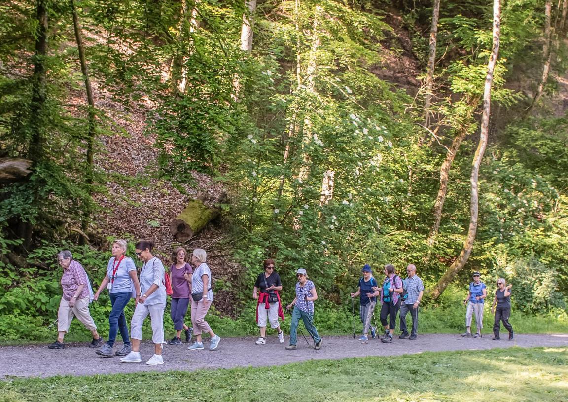 Eine Gruppe älterer Menschen spazieren durch den Wald