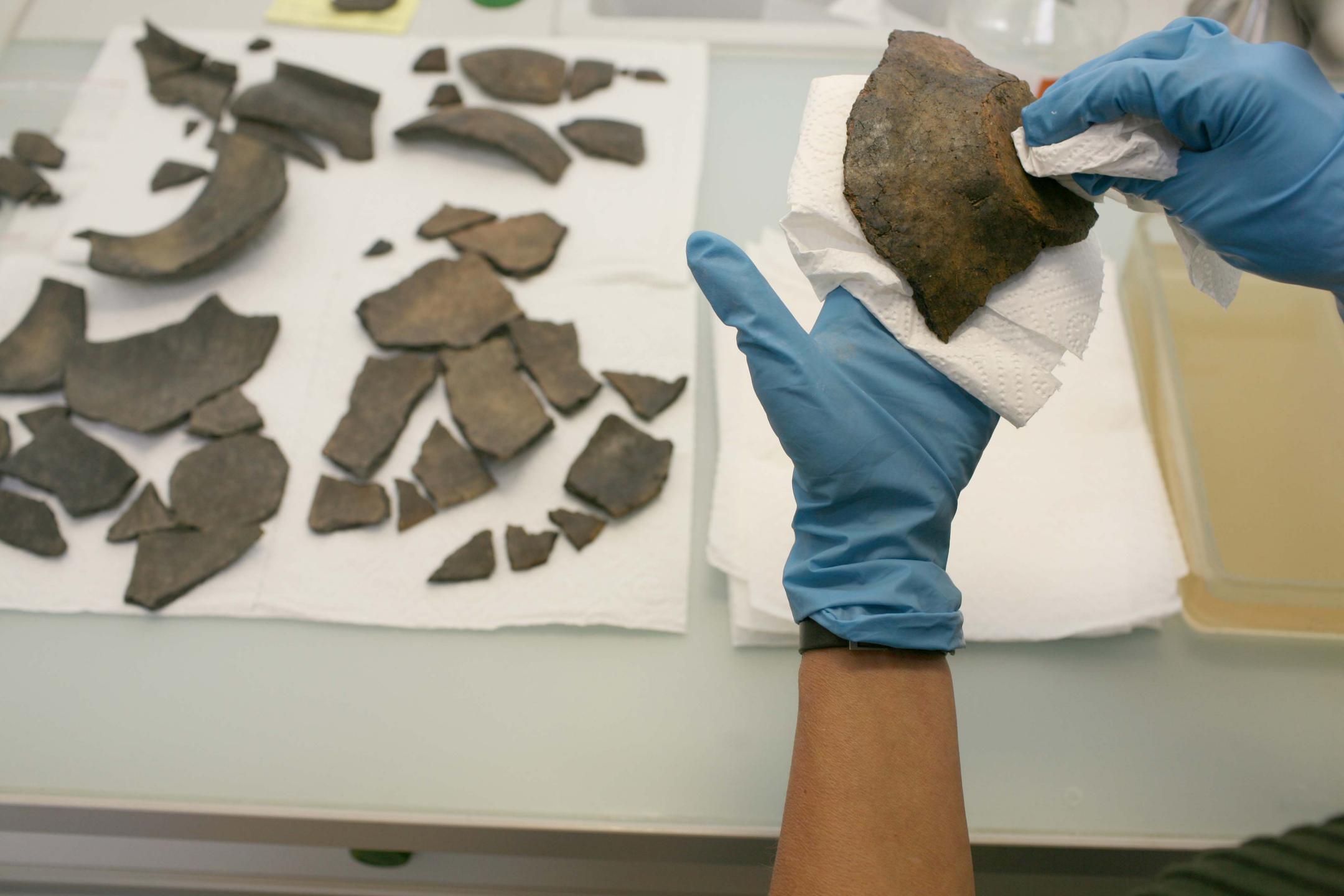 Scherben eines Gefässes werden von zwei Händen in Handschuhen gereinigt. Im Hintergrund liegen weitere Scherben des Gefässes. 